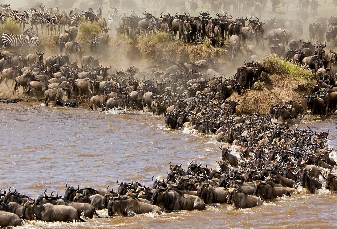 7 days Tanzania safari