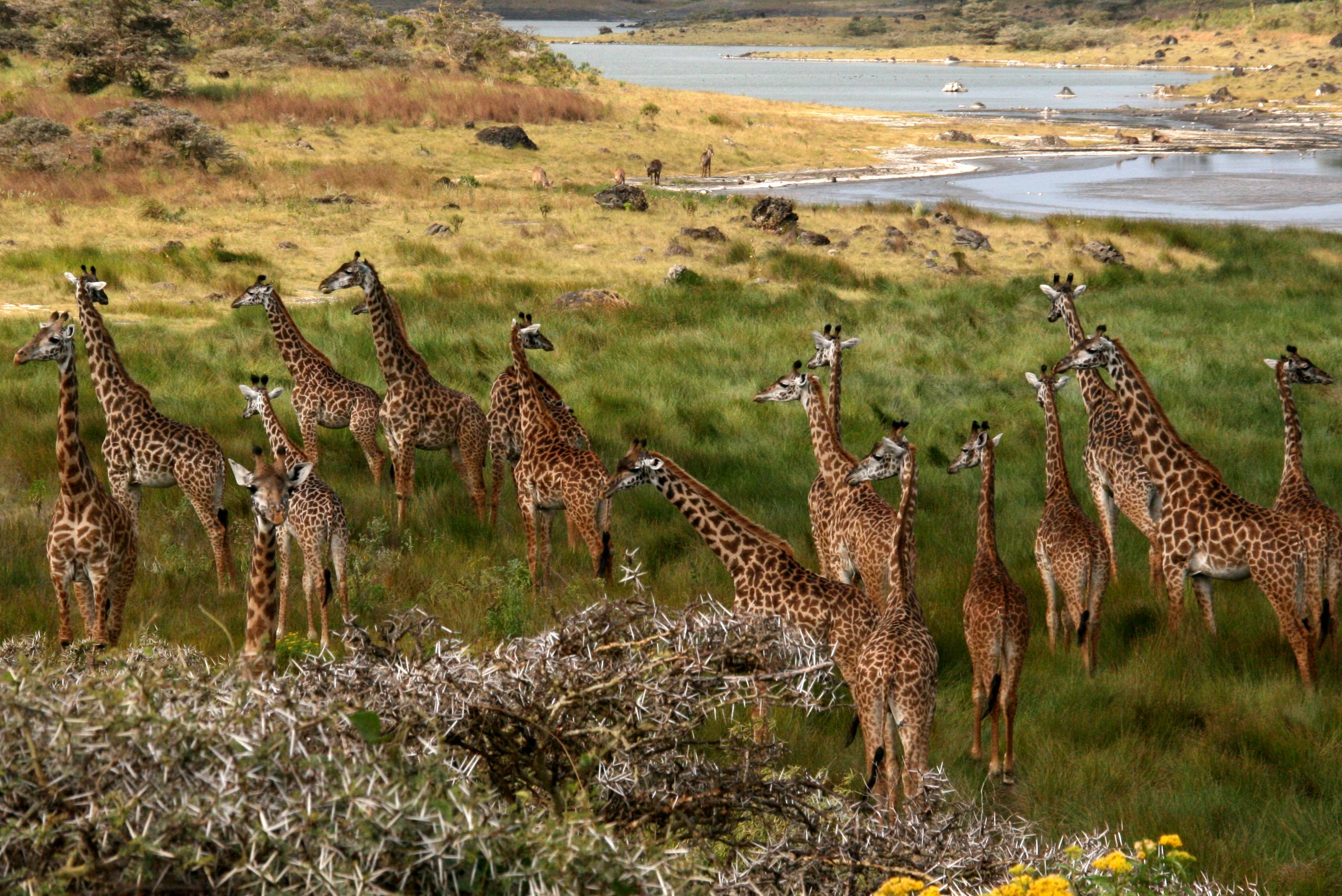 ARUSHA NATIONAL PARK