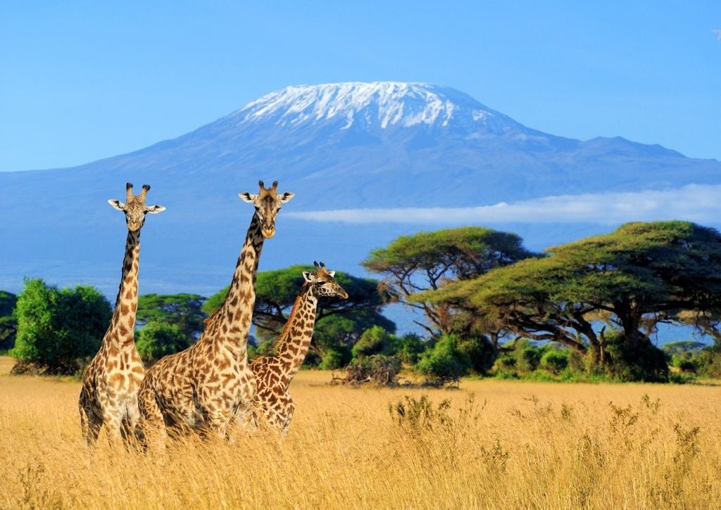 Facts about Kilimanjaro