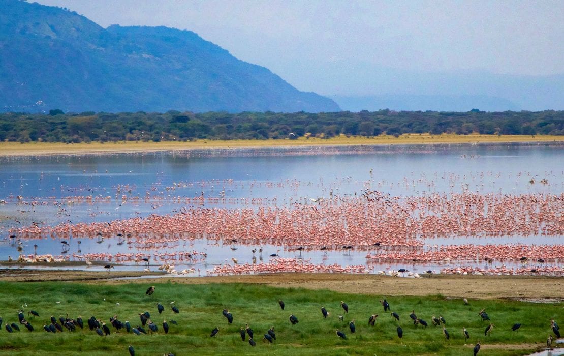  Lake Manyara Natinal park 