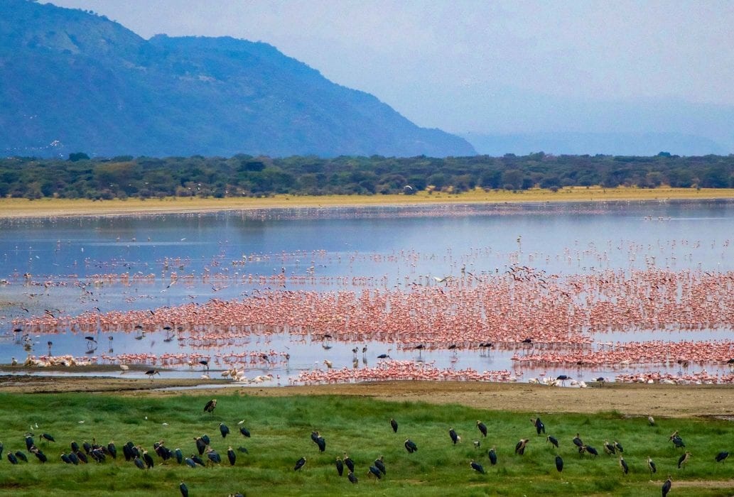 lake manyara