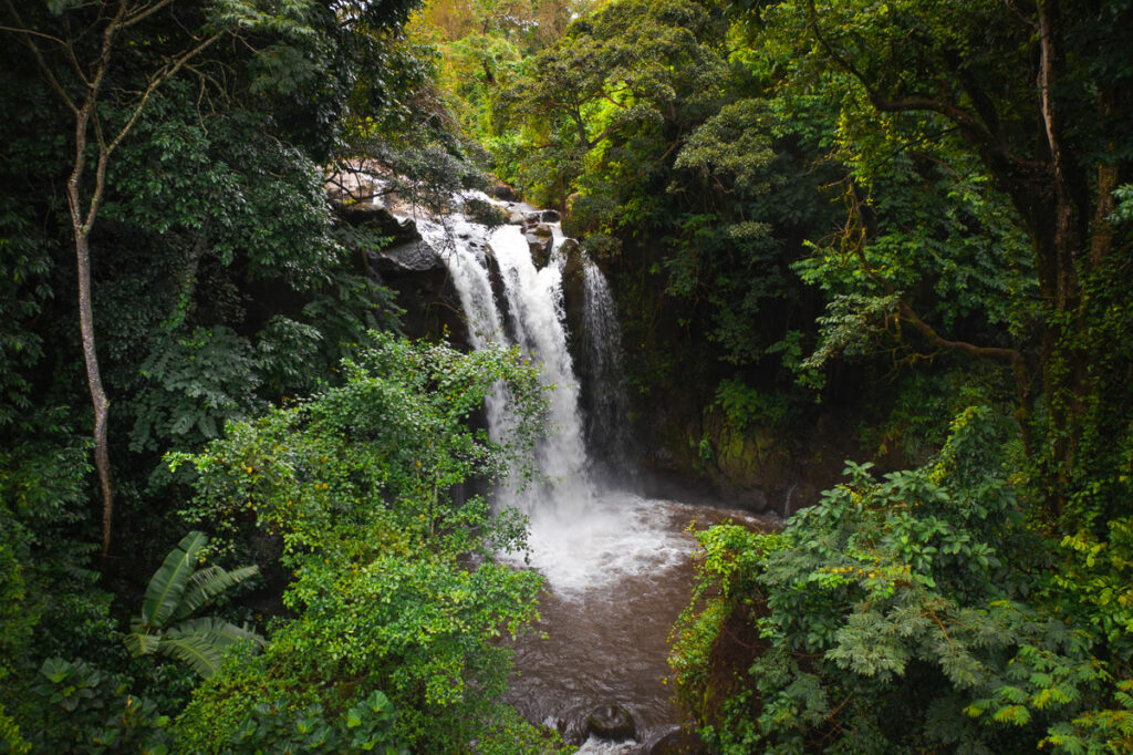 Marangu waterfalls & Chagga culture