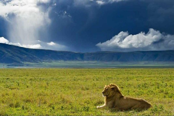 Ngorongoro crater